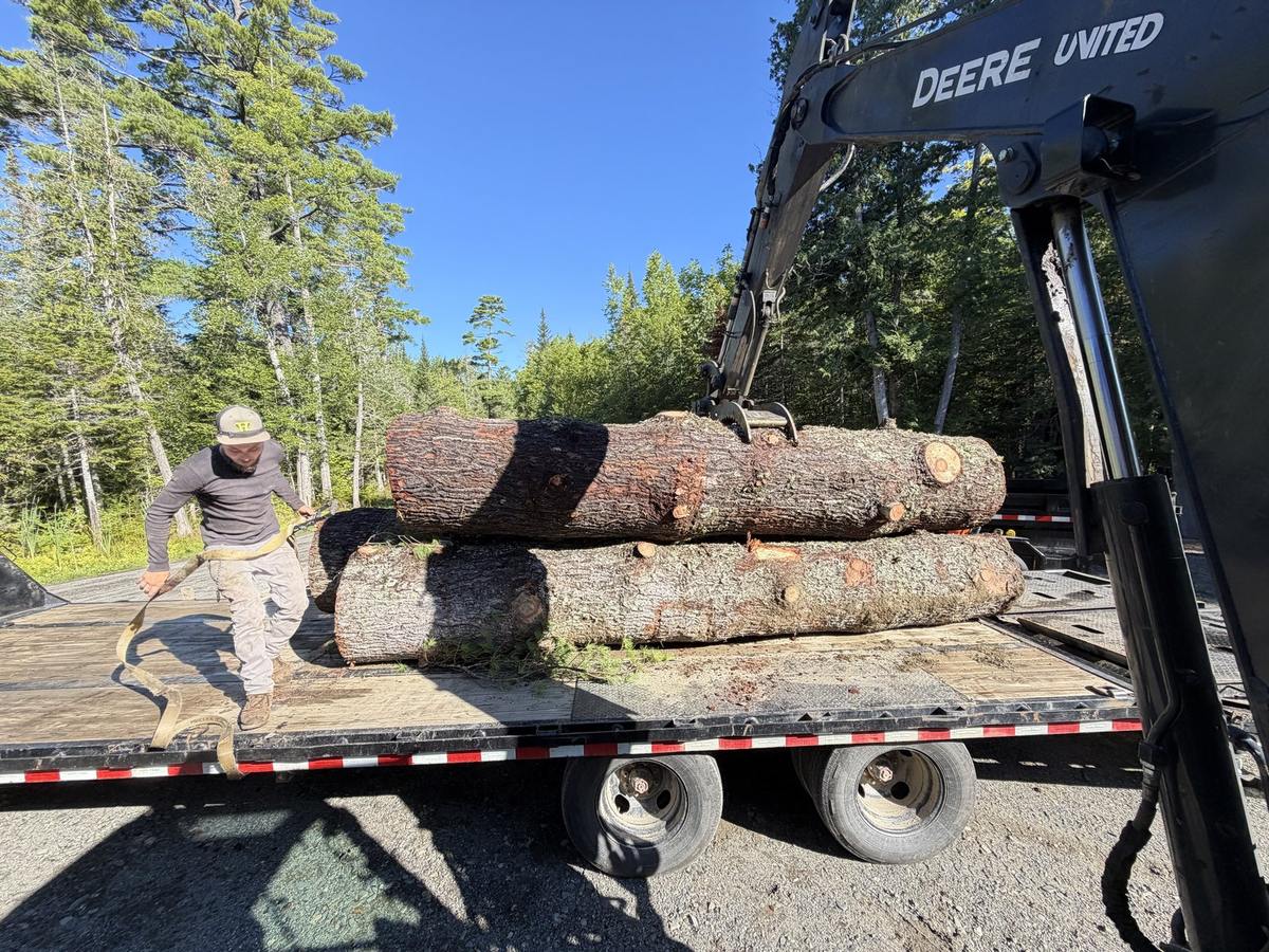 Grapple loading logs onto a flatbed trailer