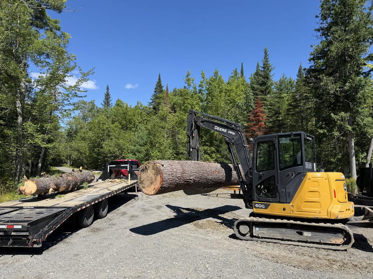 The excavator carrying a large log past the building