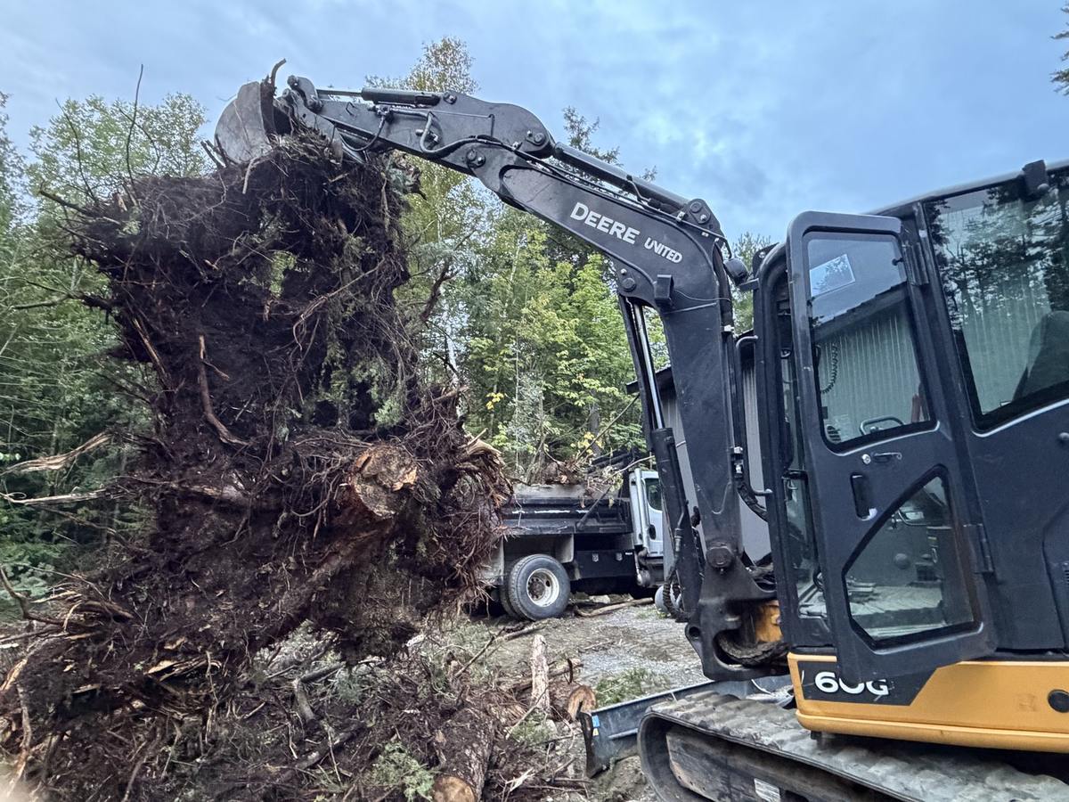 The excavator pulling a root ball out of the ground