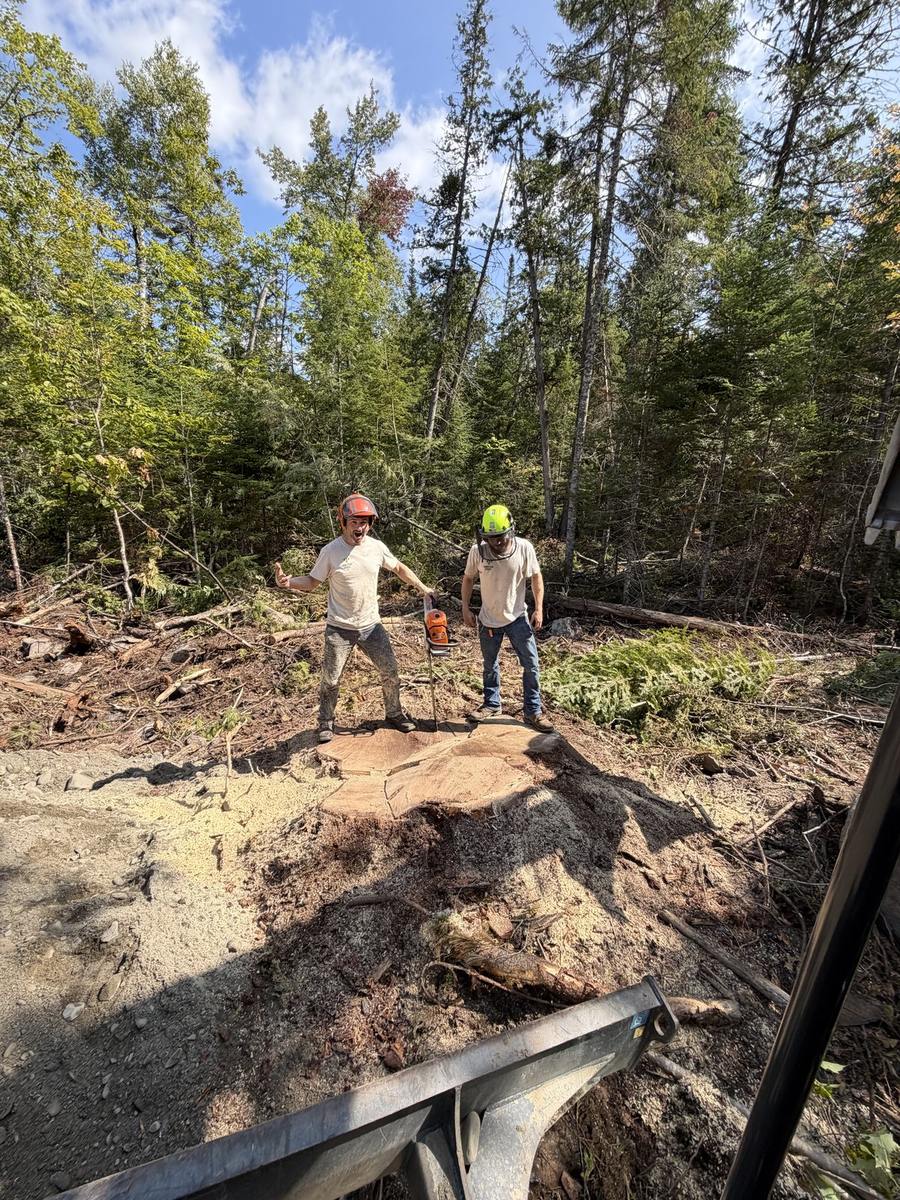 Two men standing on a single stump, showing its size
