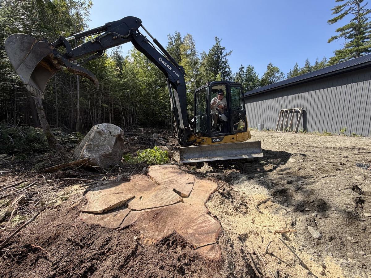 Mulching head grinding the stump flat, the building behind