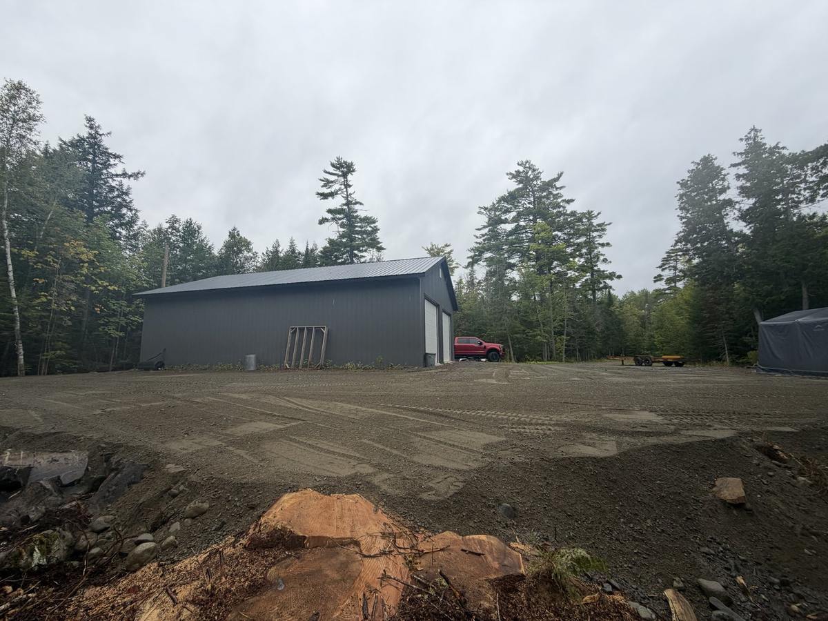 After: the stump in the foreground and the finished parking lot beyond